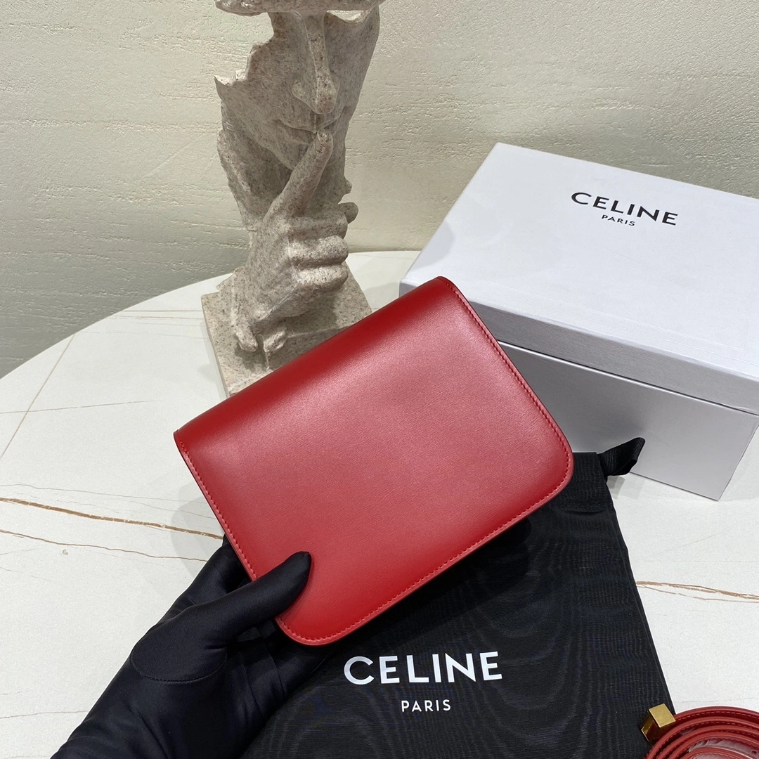 Custombag-- 192523DLS.27OR high quality version item：C-B806D25163
